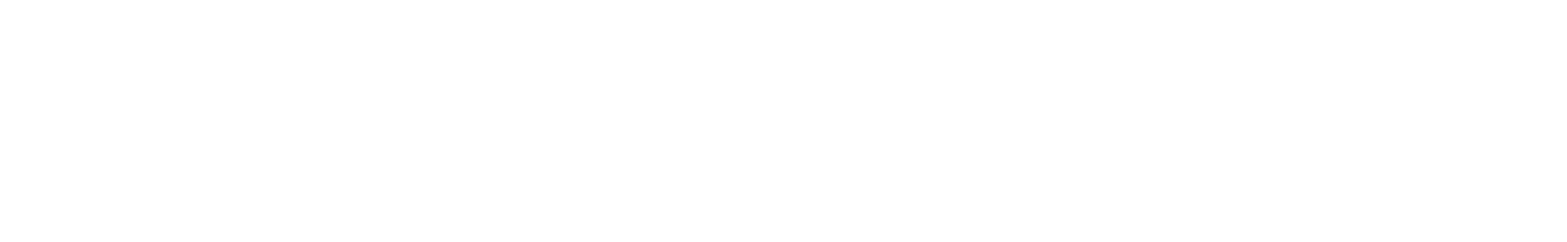 Xuanqi Co.